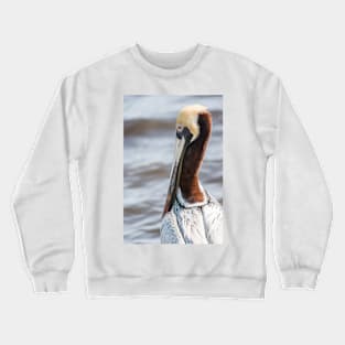 Brown Pelican 4 Crewneck Sweatshirt